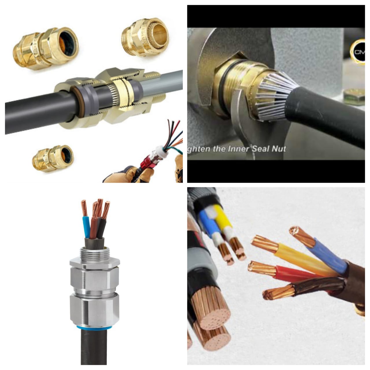 Cable glands: All Categories CMP ATEX